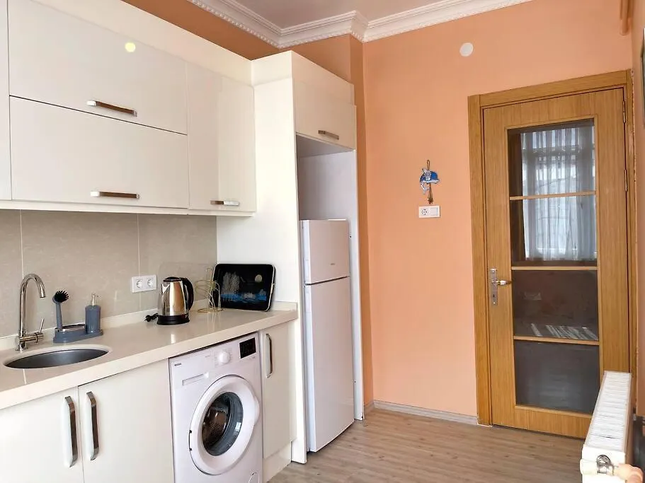 Newly Furnished Flat @Sultanahmet @Hagiasophia Apartment Istanbul Turcia