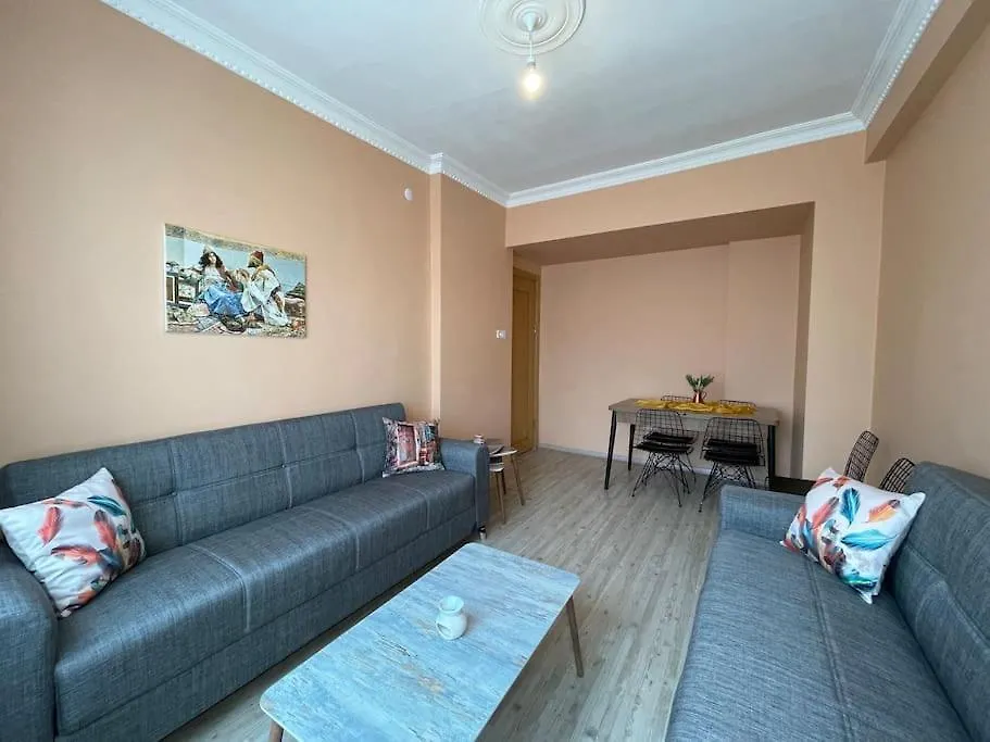 Newly Furnished Flat @Sultanahmet @Hagiasophia Apartment Istanbul