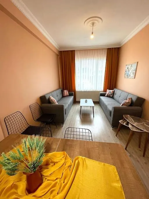 Newly Furnished Flat @Sultanahmet @Hagiasophia Apartment Istanbul